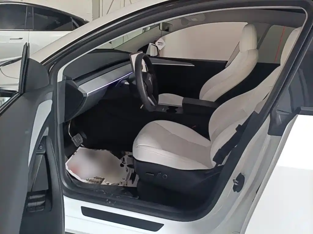 Tesla Model Y — миниатюра 15
