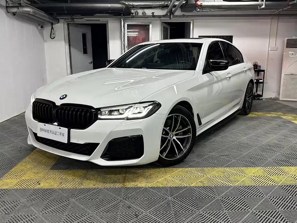 BMW 5 Series (Import) 2021