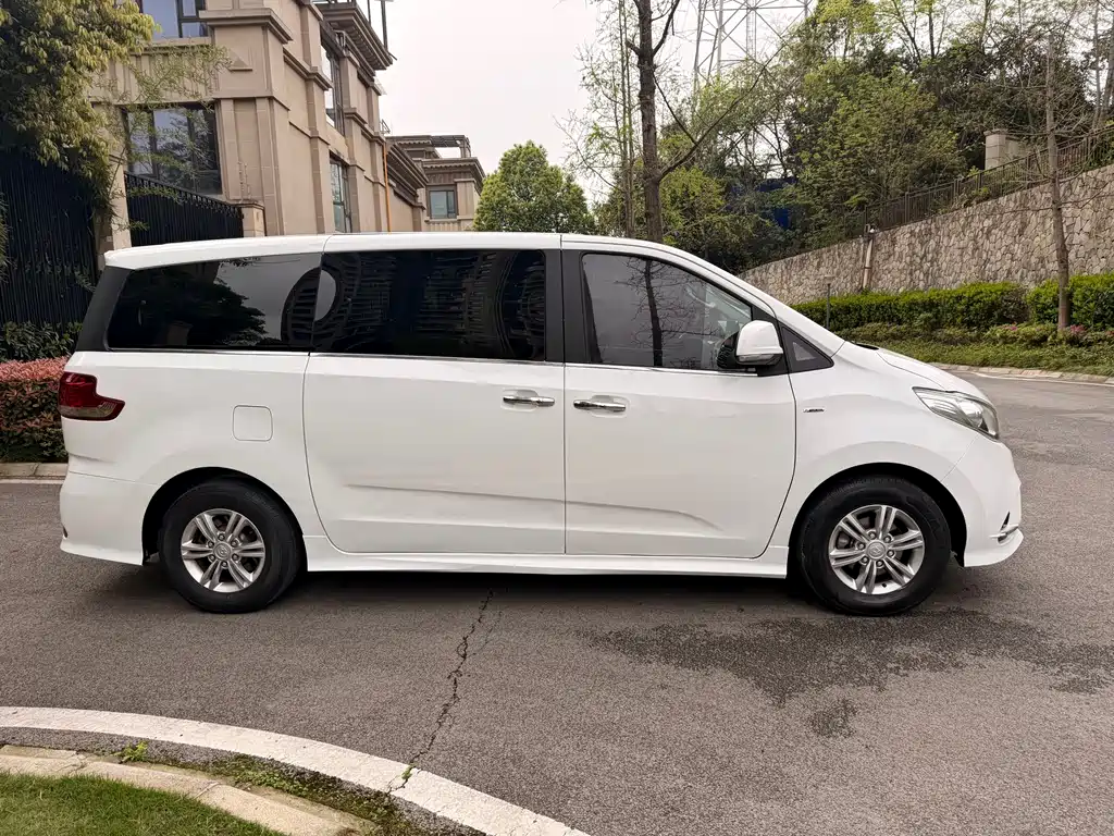 Maxus G10 PLUS 2.0T Auto Elite Edition China VI, фото 4