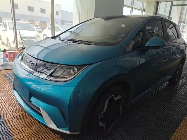 2022 BYD Dolphin