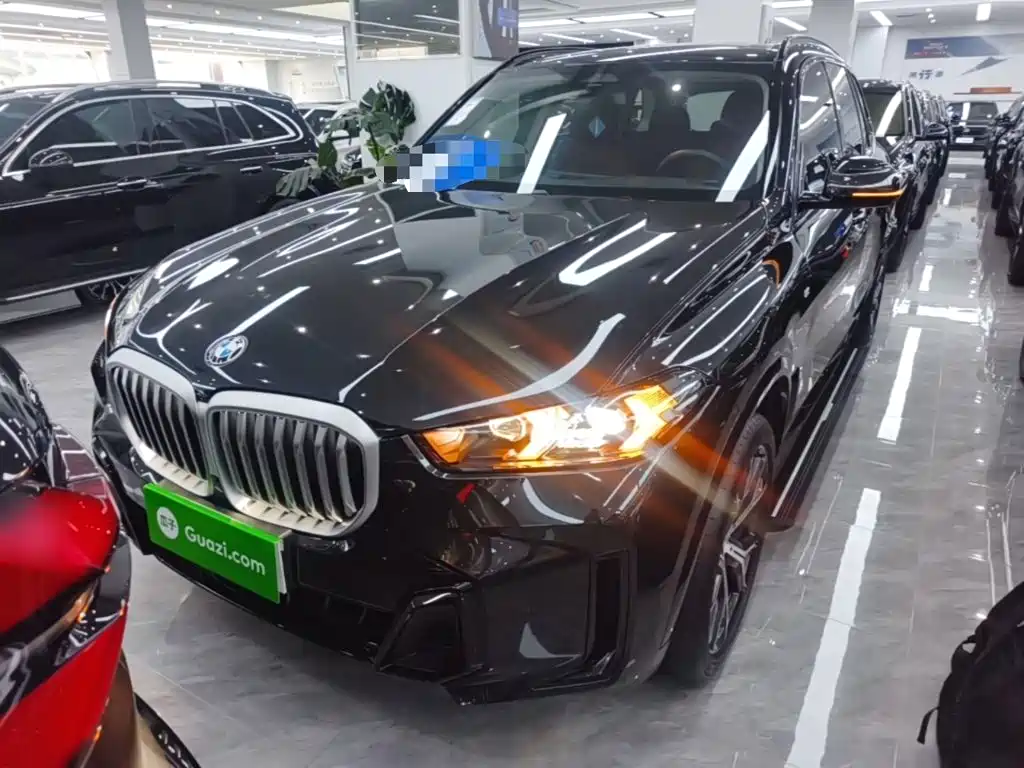 BMW X5 — миниатюра 3