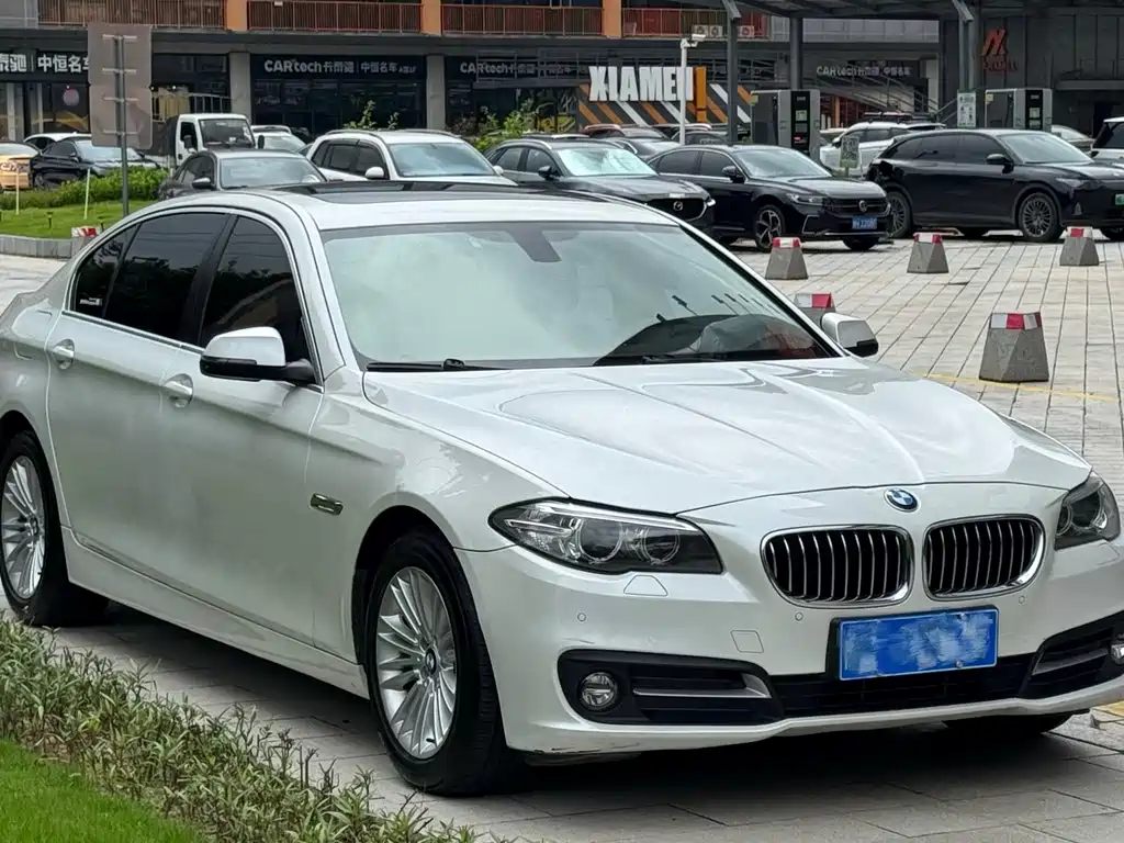 BMW 5 Series 5 2014 525Li Lead