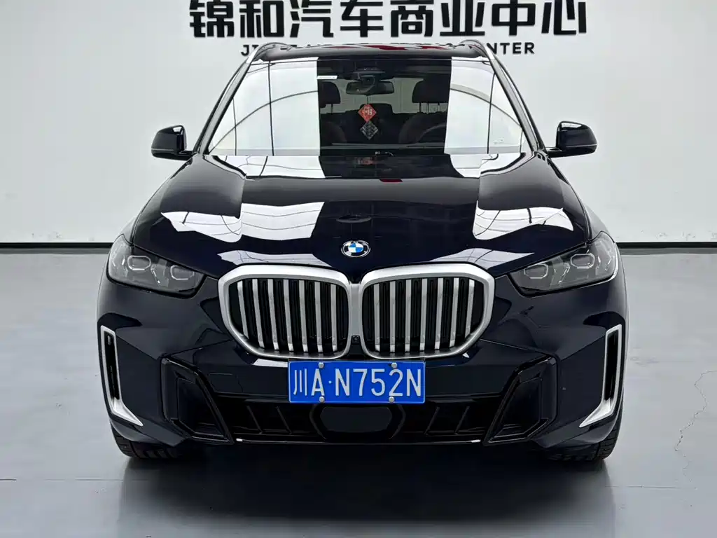 BMW X5 — миниатюра 2