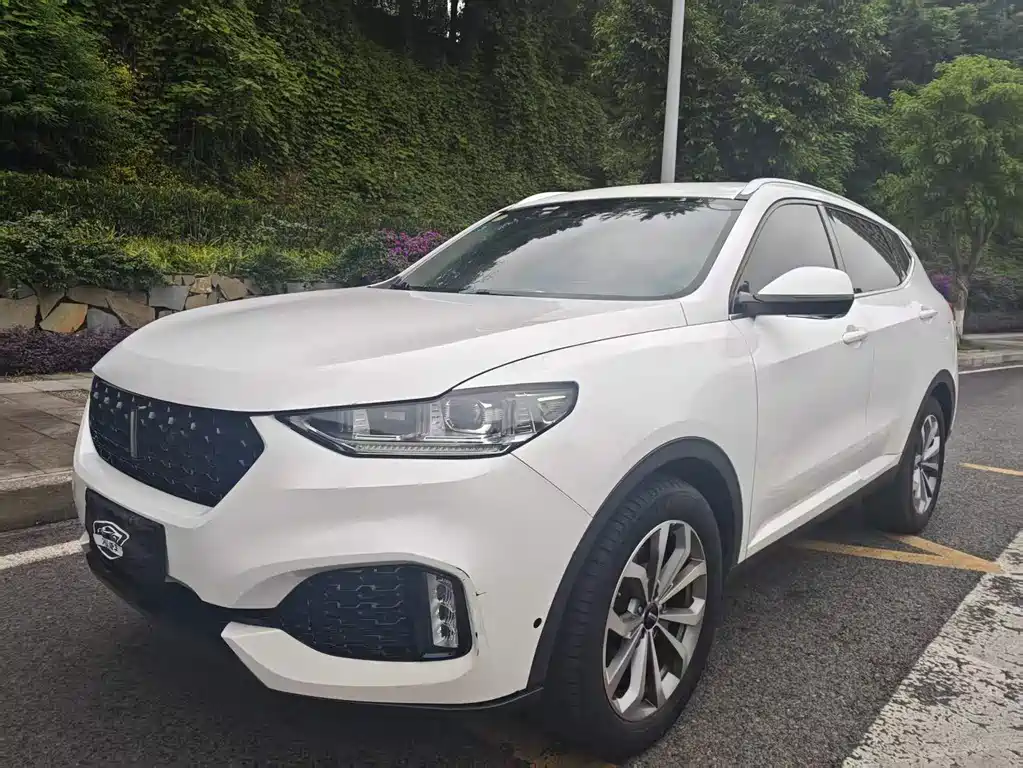 Wey Wey VV6 2018