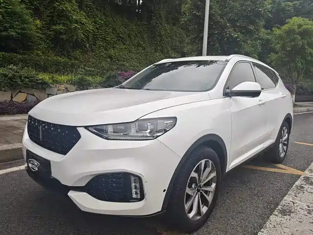 2018 Wey VV6