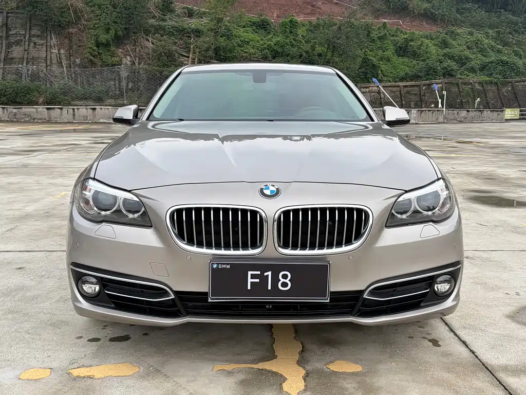 BMW 5 Series — миниатюра 2