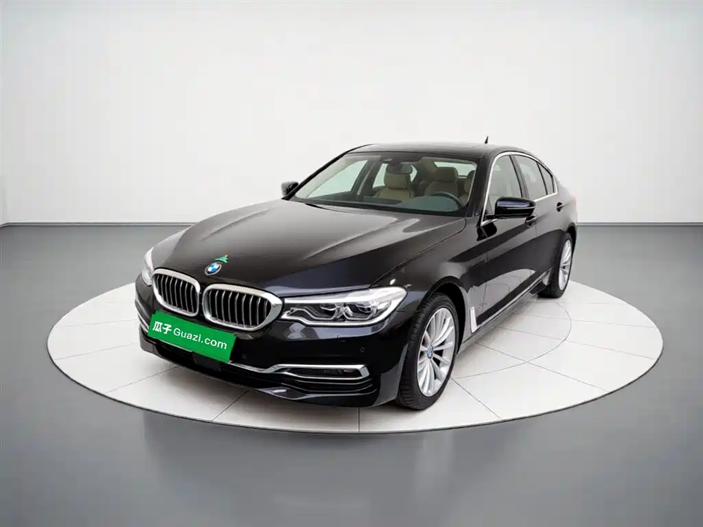 BMW 5 Series New Energy 2020