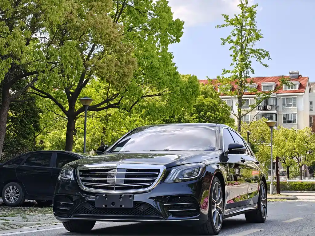 奔驰S级 2019款 S 500 L 4MATIC 臻藏版