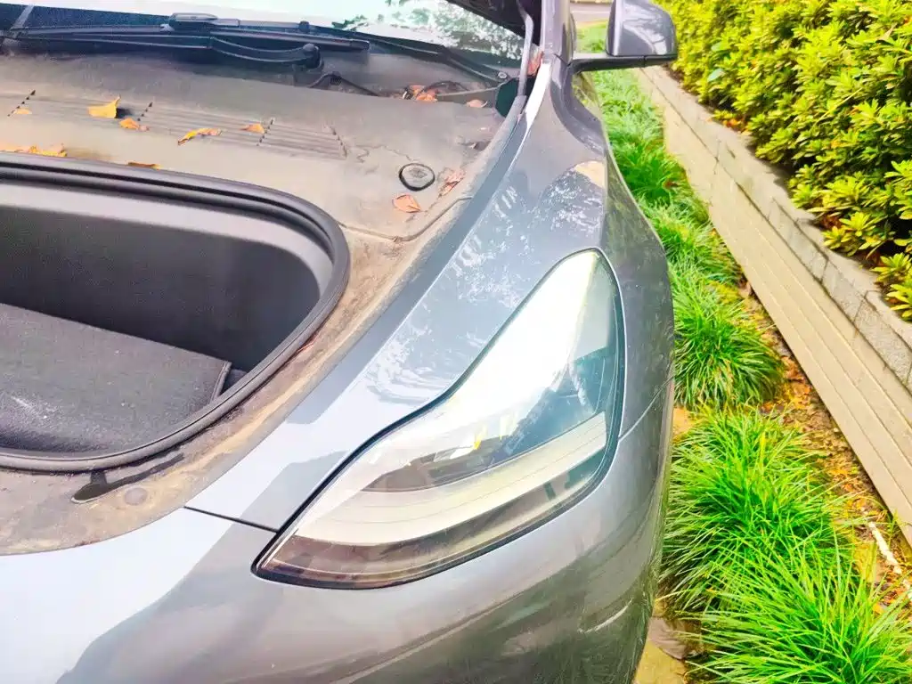 Tesla Model Y — миниатюра 22