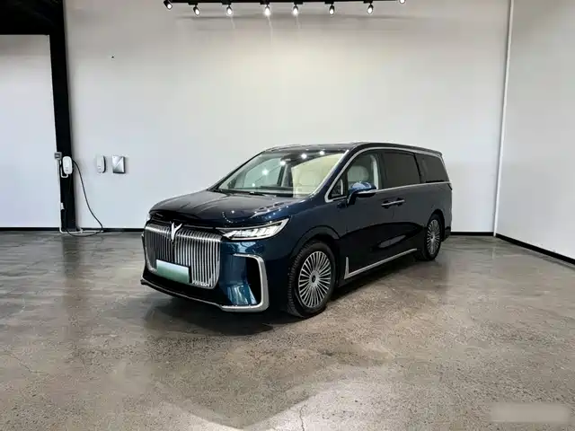 2025 Voyah Dream