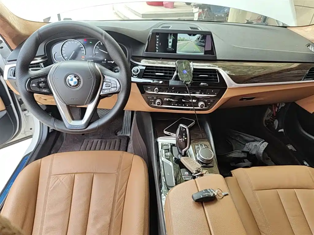 BMW 5 Series 5 2018 528Li