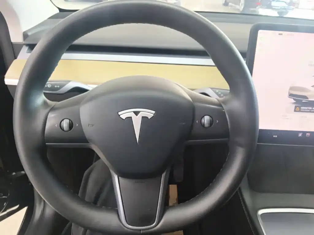 Tesla Model Y — миниатюра 11
