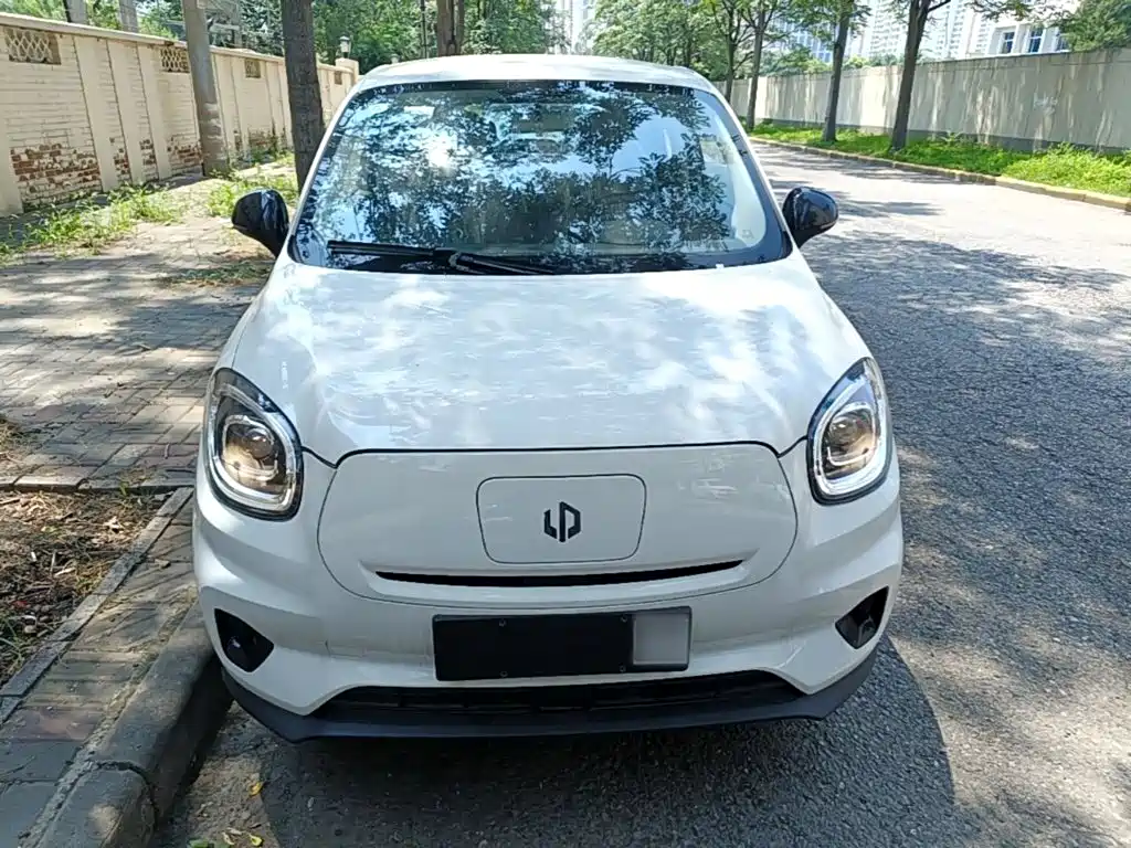 Leapmotor T03 2025 310