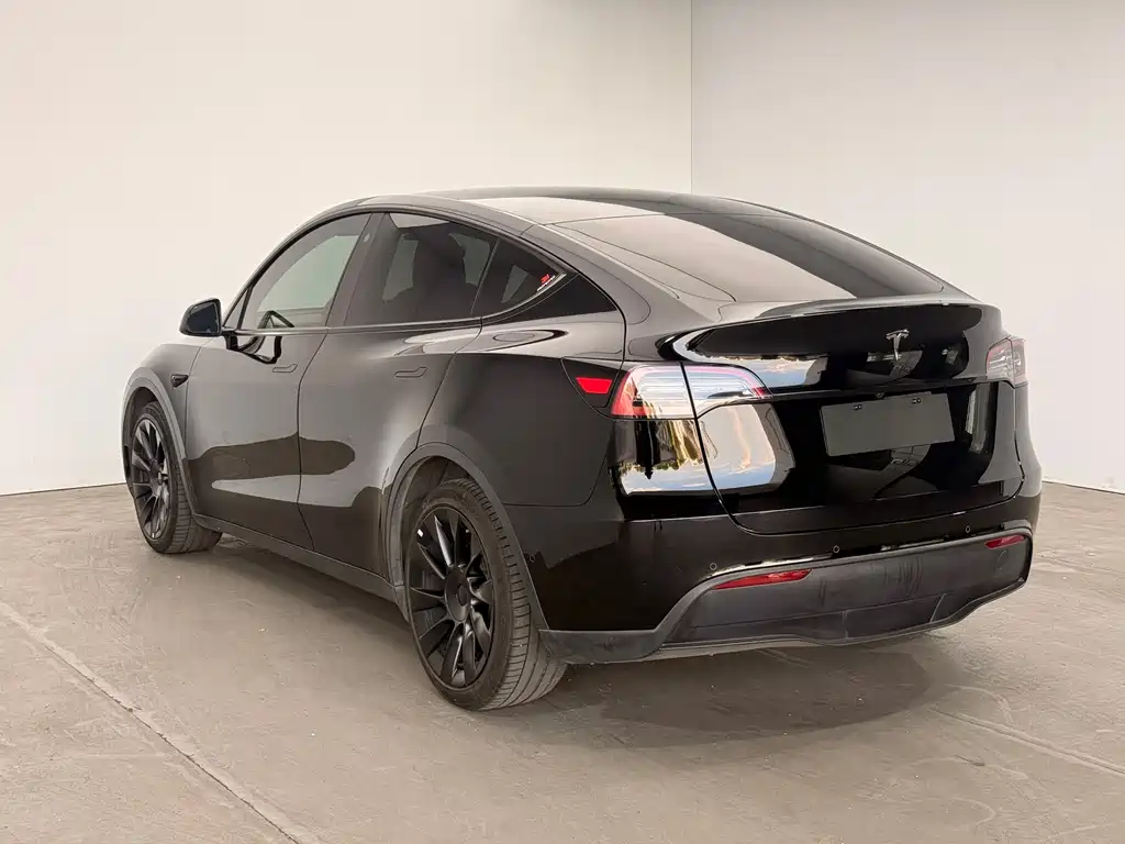 Tesla Model Y — миниатюра 5