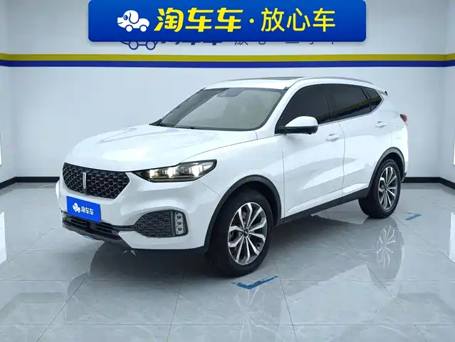 2019 Wey VV6