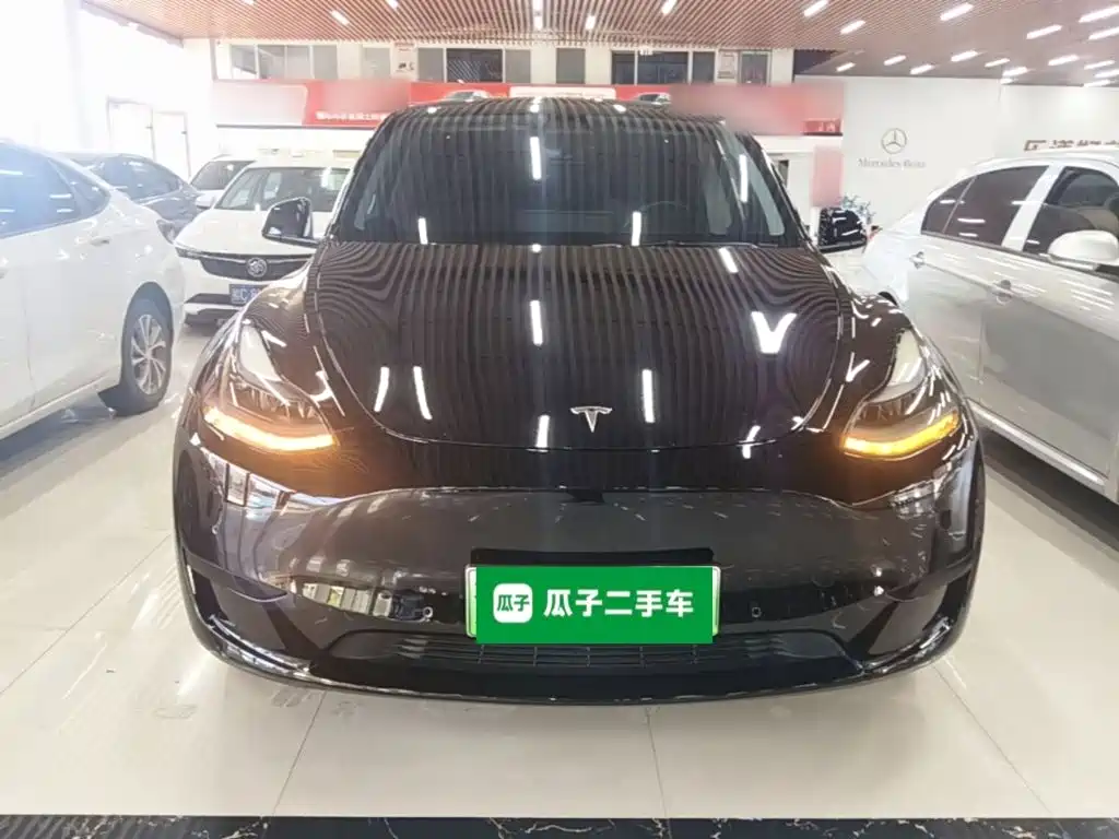 Tesla Model Y — миниатюра 3
