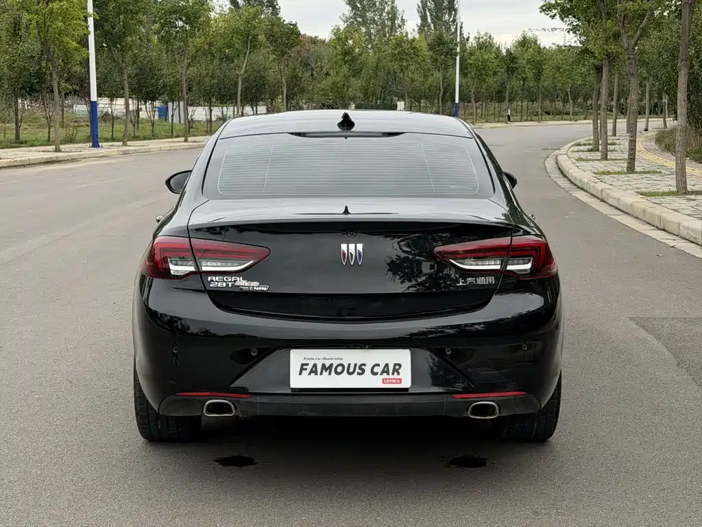 Buick Regal — миниатюра 5