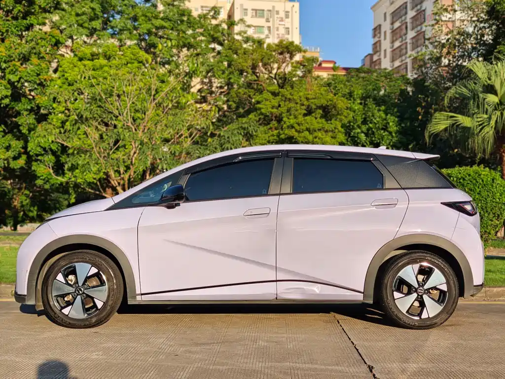 BYD Dolphin — миниатюра 5