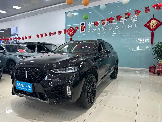 WEI PAI WEI BRAND VV7 2019