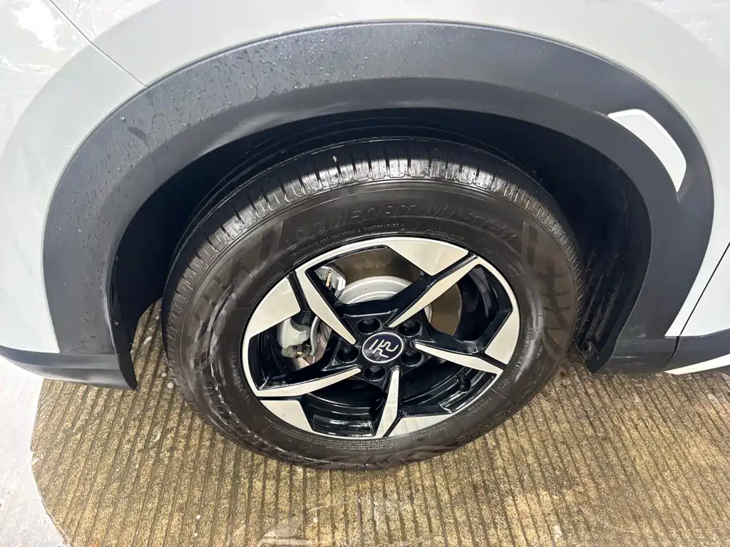 BYD Yuan Up UP 2024 401KM