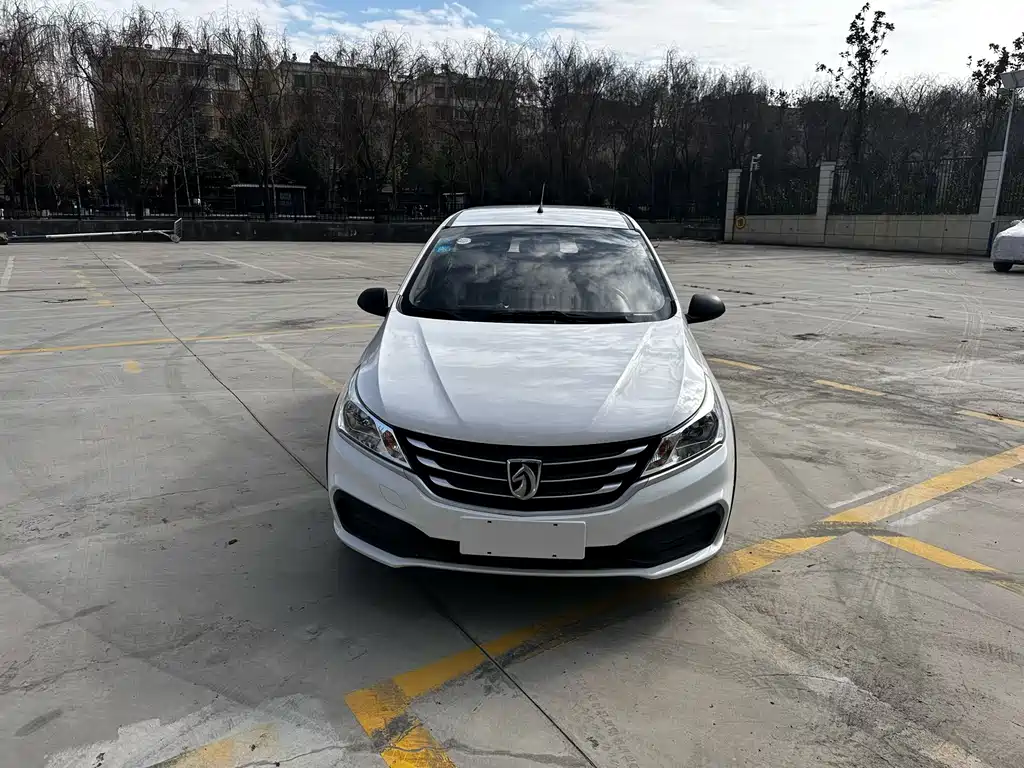 BAOJUN 310W