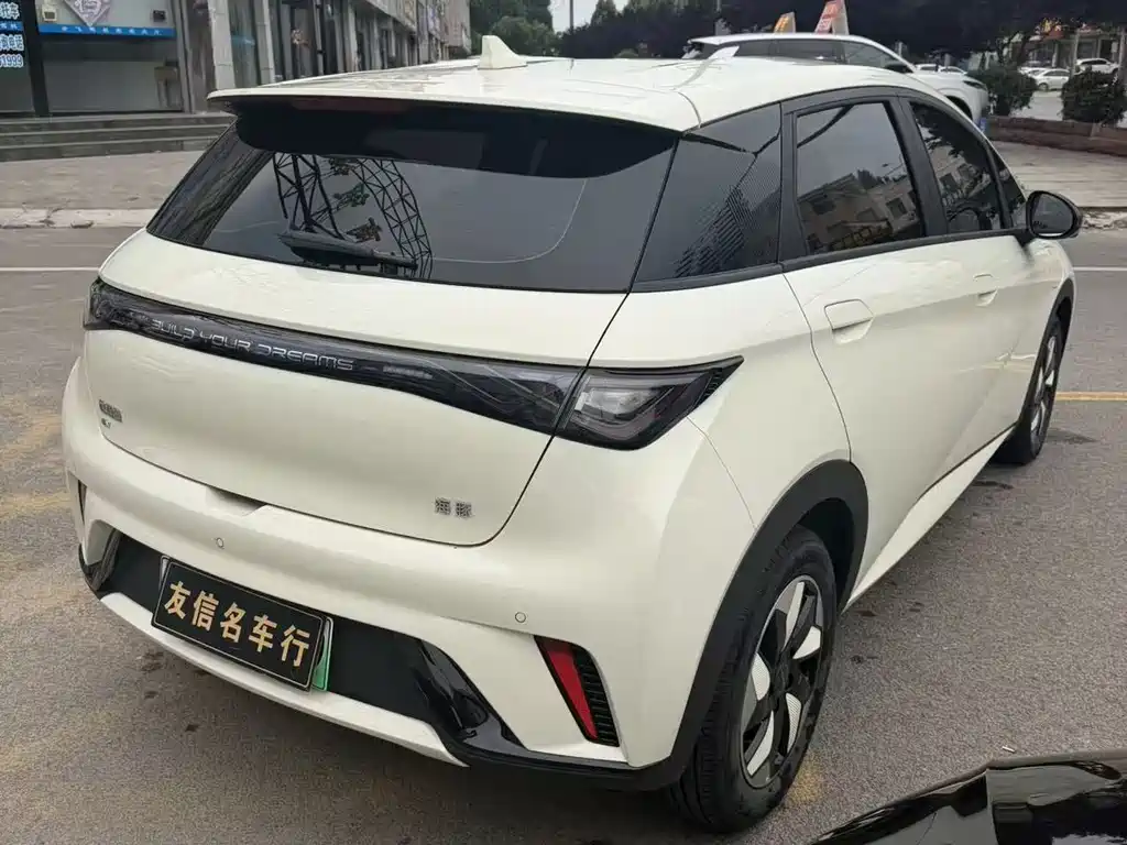 BYD Dolphin 2025 420km Freedom