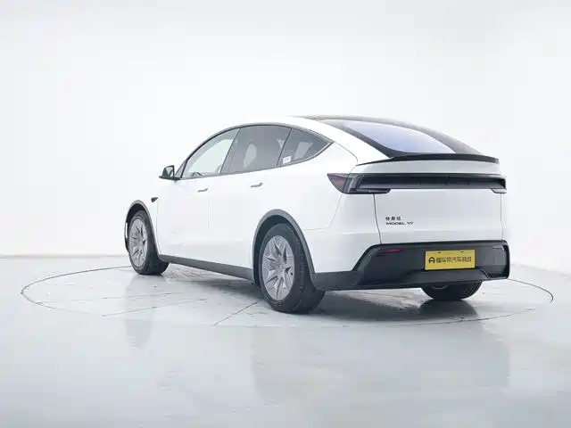 Tesla Model Y L