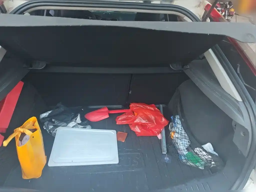 Ford Focus — миниатюра 15