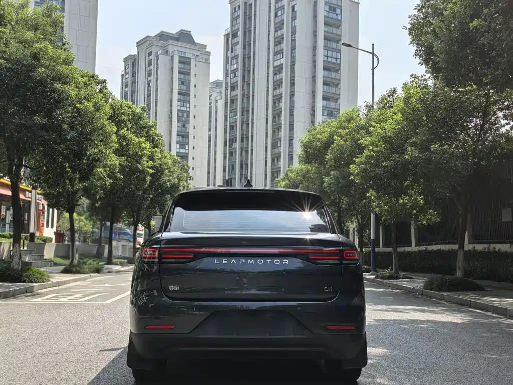 Leapmotor Leapmotor C11 — миниатюра 13