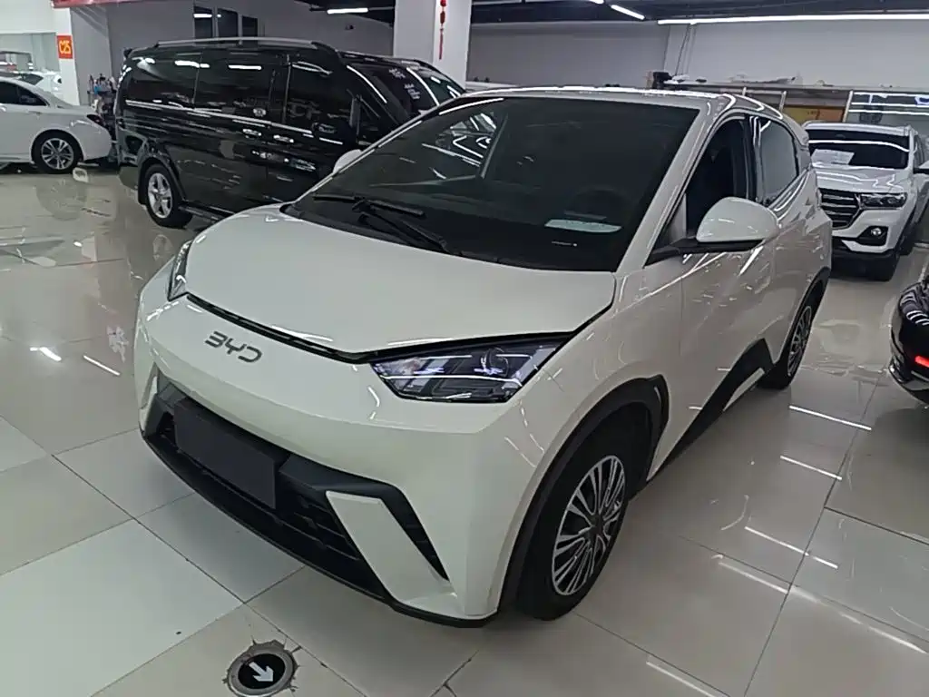 BYD Seagull 2024 305km Freedom
