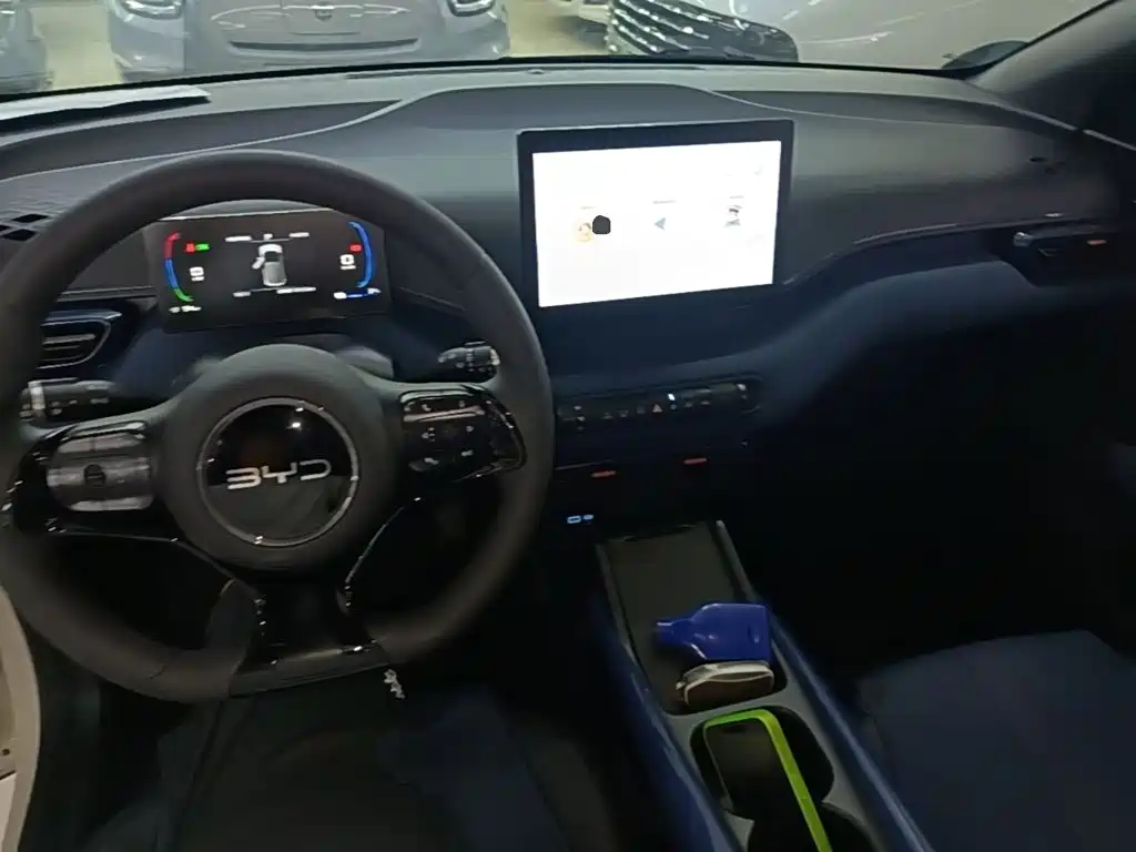 BYD Seagull 2024 305km Freedom