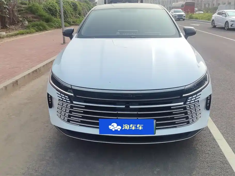BYD Destroyer 05 2024 DM-i 55KM Luxury