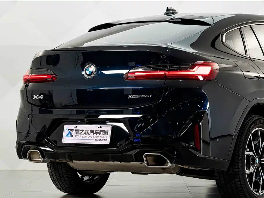 BMW X4 — миниатюра 7