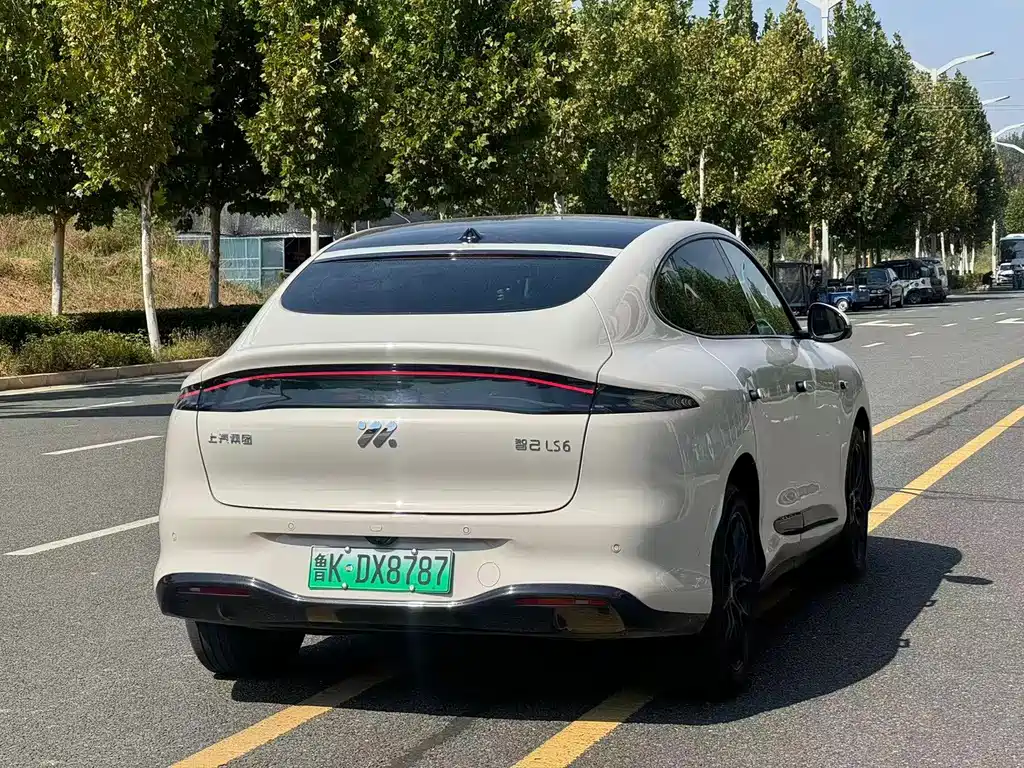 IM IM LS6 — миниатюра 5