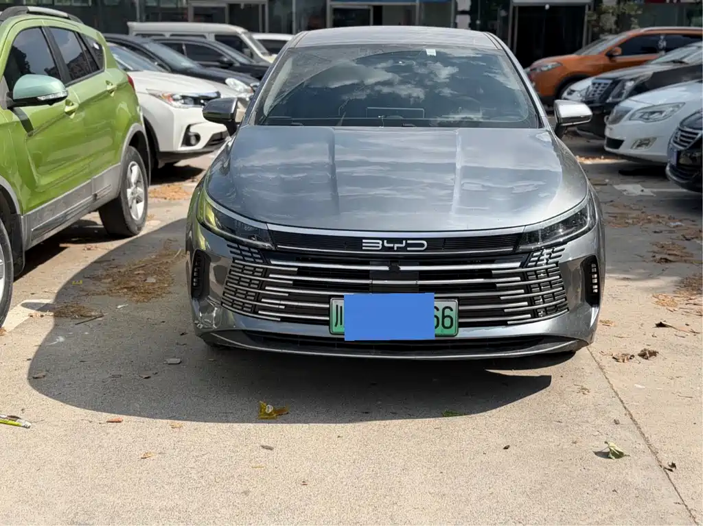 BYD Destroyer 05 2024 DM-i 55KM Luxury
