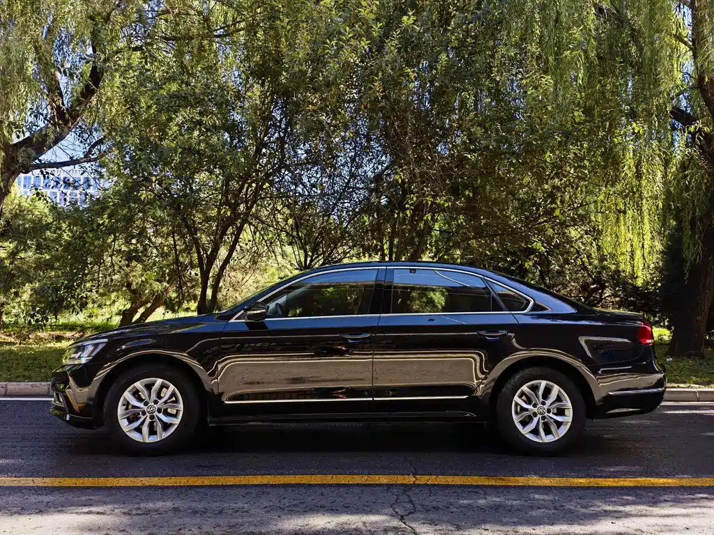 Volkswagen Passat — миниатюра 5