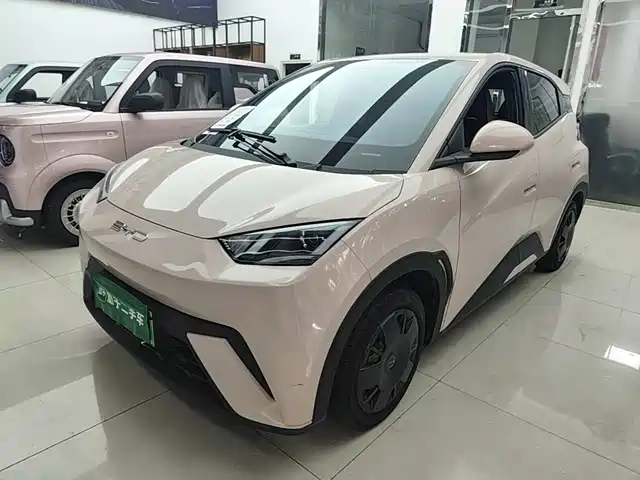 BYD Seagull