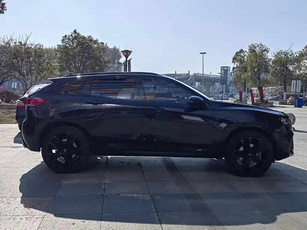 WEI PAI WEI BRAND VV7