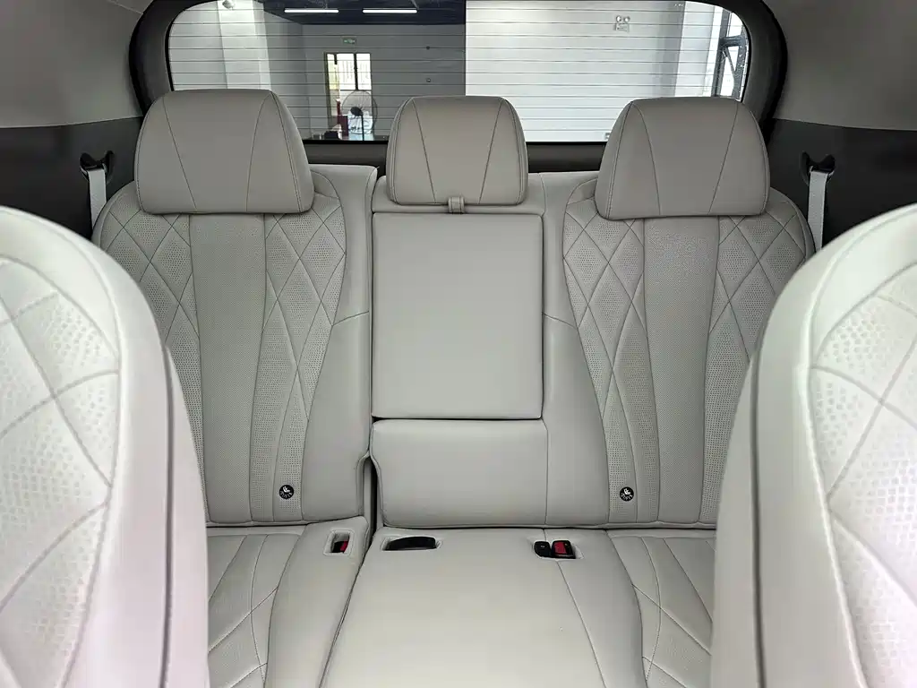 Denza Denza D9 — миниатюра 15