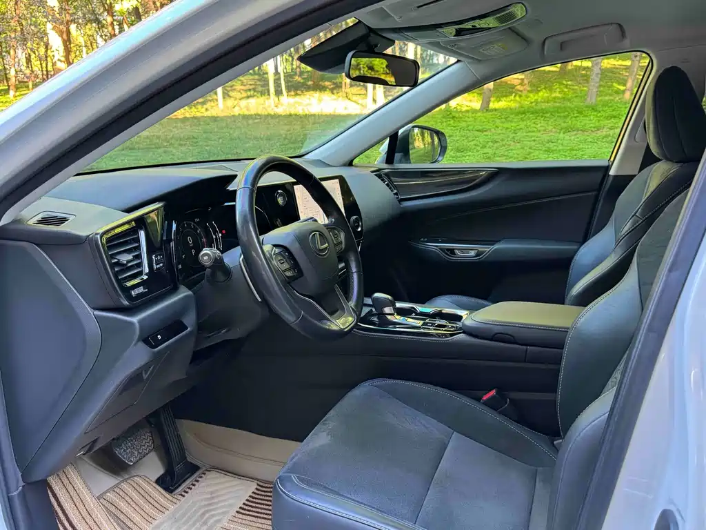 Lexus NX — миниатюра 6