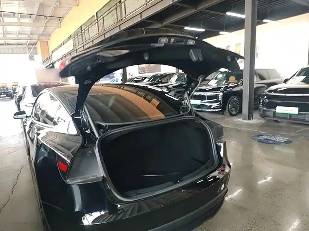 Tesla Model 3 — миниатюра 19