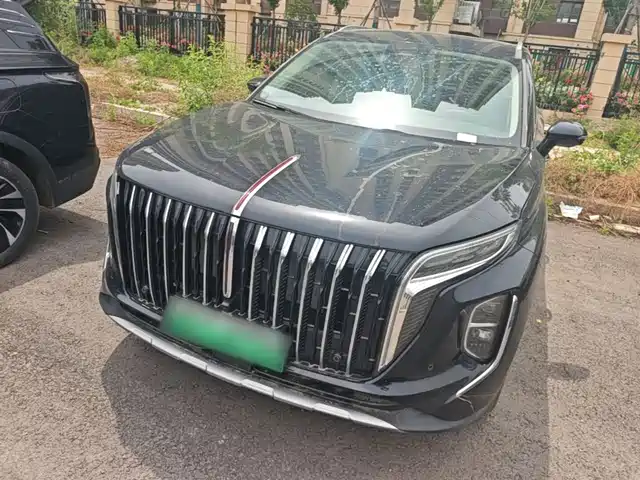 2024 Hongqi HS7