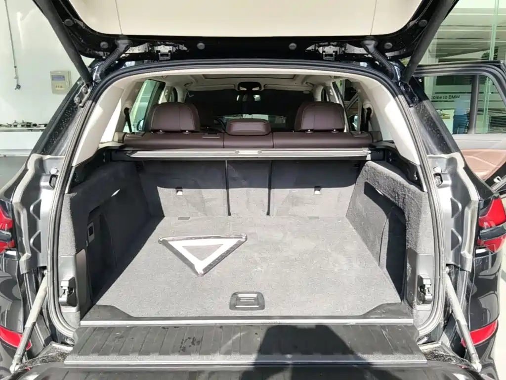 BMW X5 — миниатюра 19