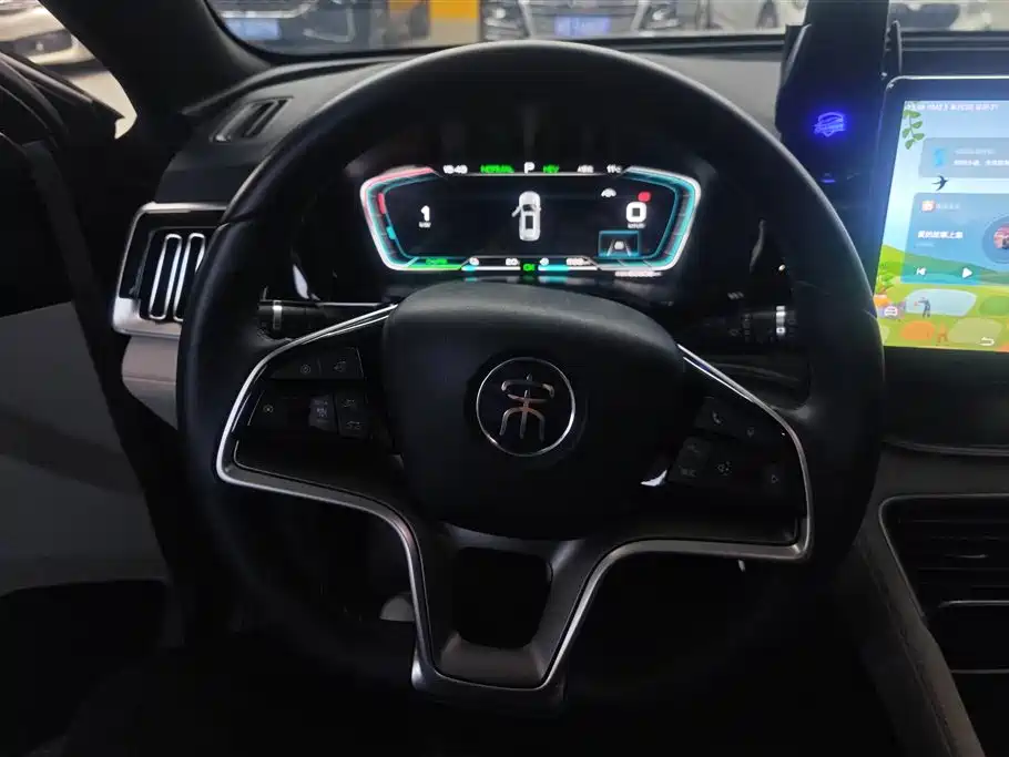 BYD SONGJIANG NEW ENERGY