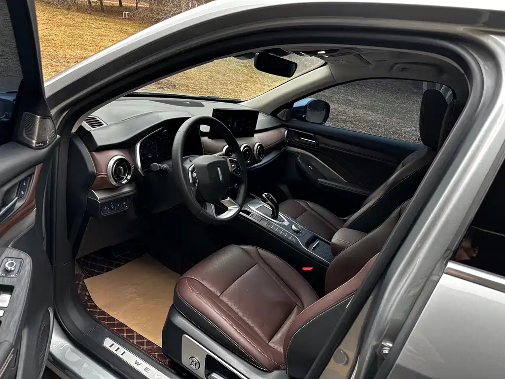 WEI PAI WEI BRAND VV6