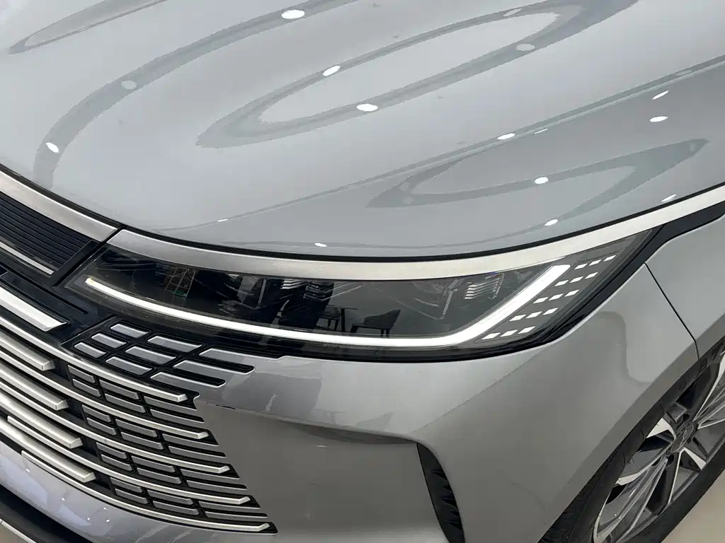 BYD Destroyer 05 2024 DM-i 55KM Luxury