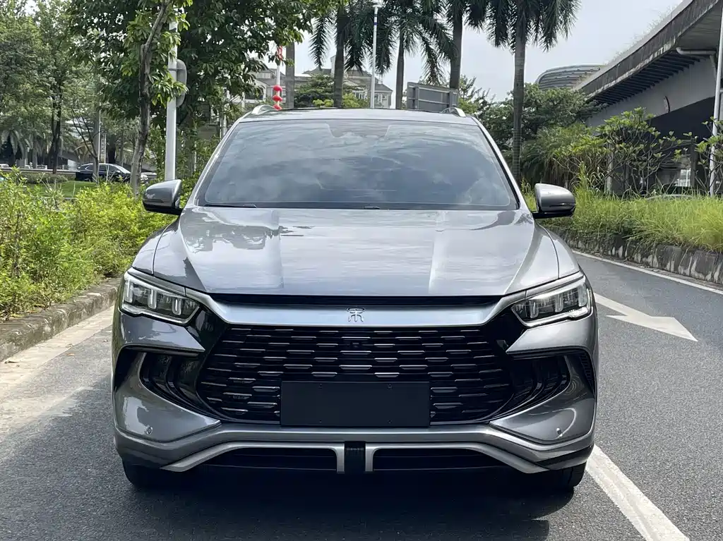 BYD Pro New Energy — миниатюра 2