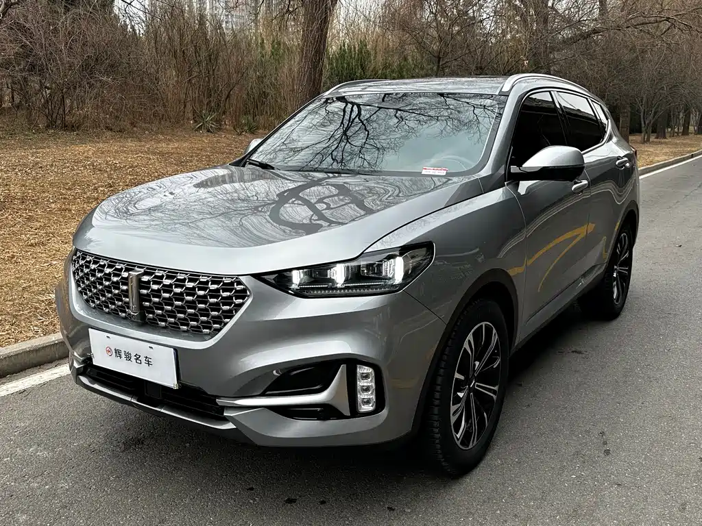 WEI PAI WEI BRAND VV6