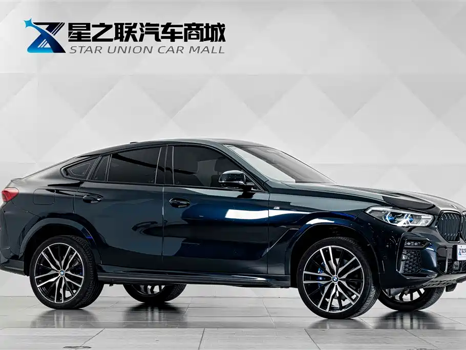 BMW X6 — миниатюра 5