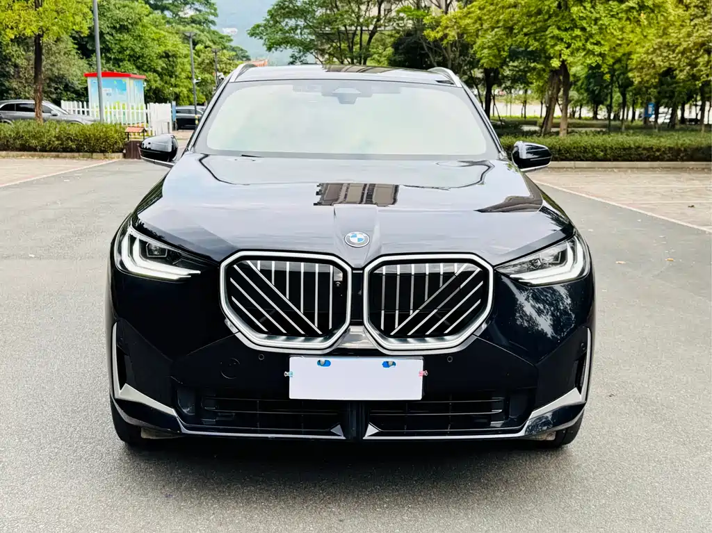 BMW X3 — миниатюра 2